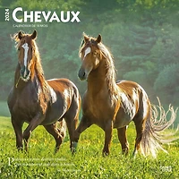 BrownTrout Horses 2024 12x24 Inch Square Wall Calendar, 9781975470173