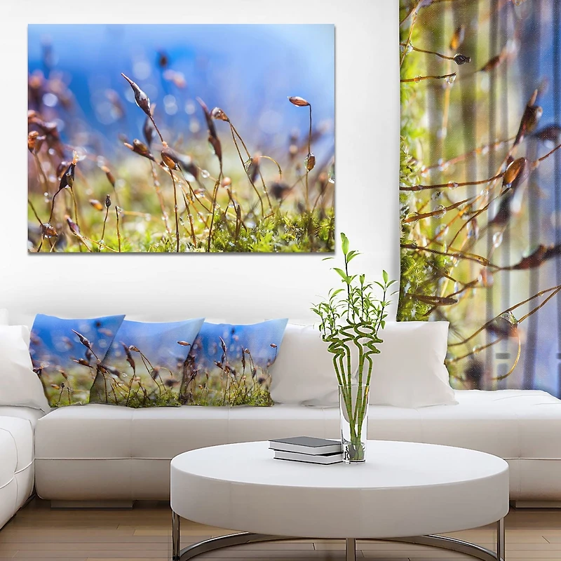 Design Art Fleurs De Printemps Été Moss Art Sur Toile