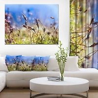 Design Art Fleurs De Printemps Été Moss Art Sur Toile