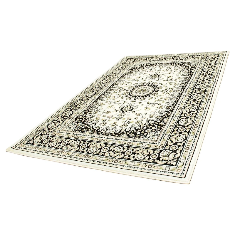 Tapis décoratif Algoma de hometrends en noir et beige 5 x 7 pi, résistant aux taches
