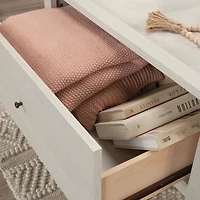 Sauder Larkin Ledge Storage Coffee Table in Glacier Oak Finish