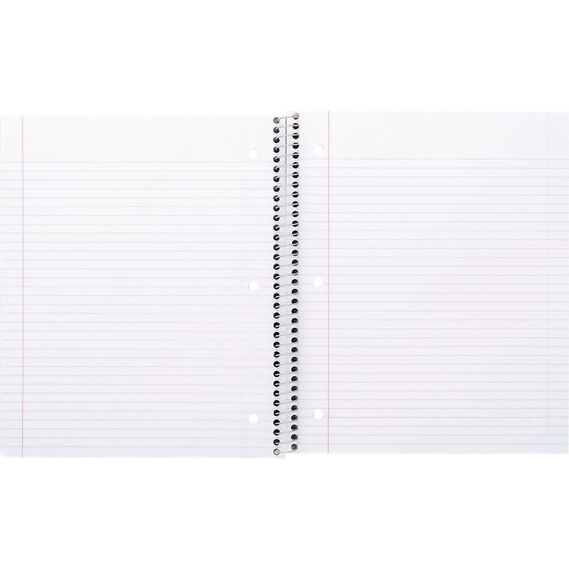 Five Star 3-Subject Preppy Day Notebook