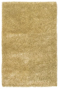 ECARPETGALLERY Metro Plush Light Green Shag 5'0" x 8'0"