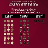 L'Oréal Paris Permanent Hair Colour Excellence Crème, 1 EA