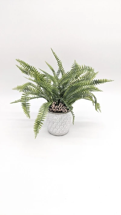 Way to celebrate LEATHER FERN POTTED, 9"