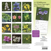 Wildflowers of Canada | 2023 12x24 Inch Square Wall Calendar