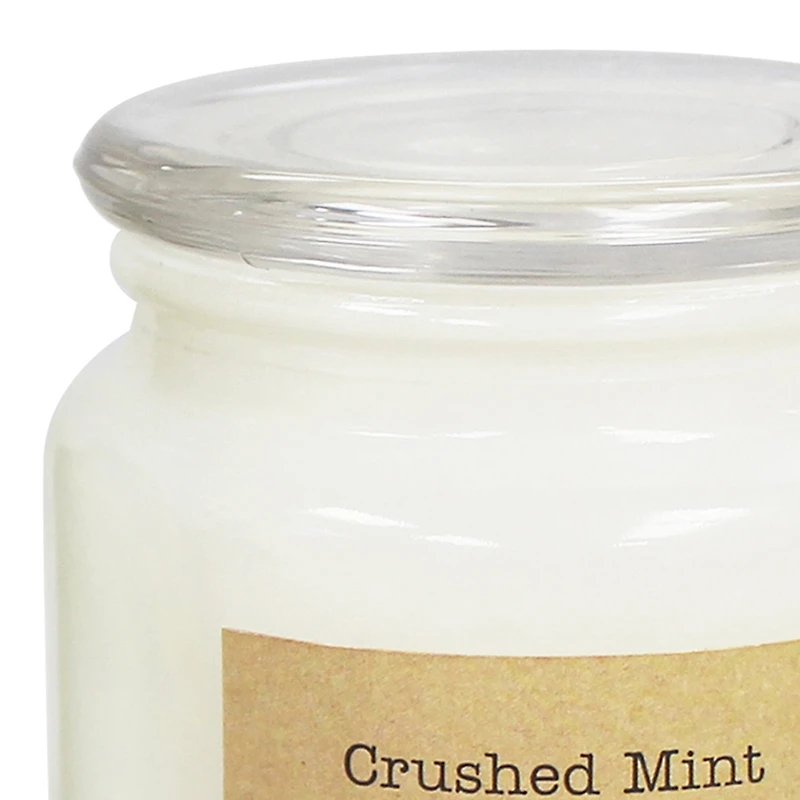 Hometrends 14oz bougie parfumée en pot en menthe écrasée