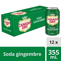 Canada Dry® Ginger Ale 355 mL Cans, 12 Pack, 12 x 355 mL