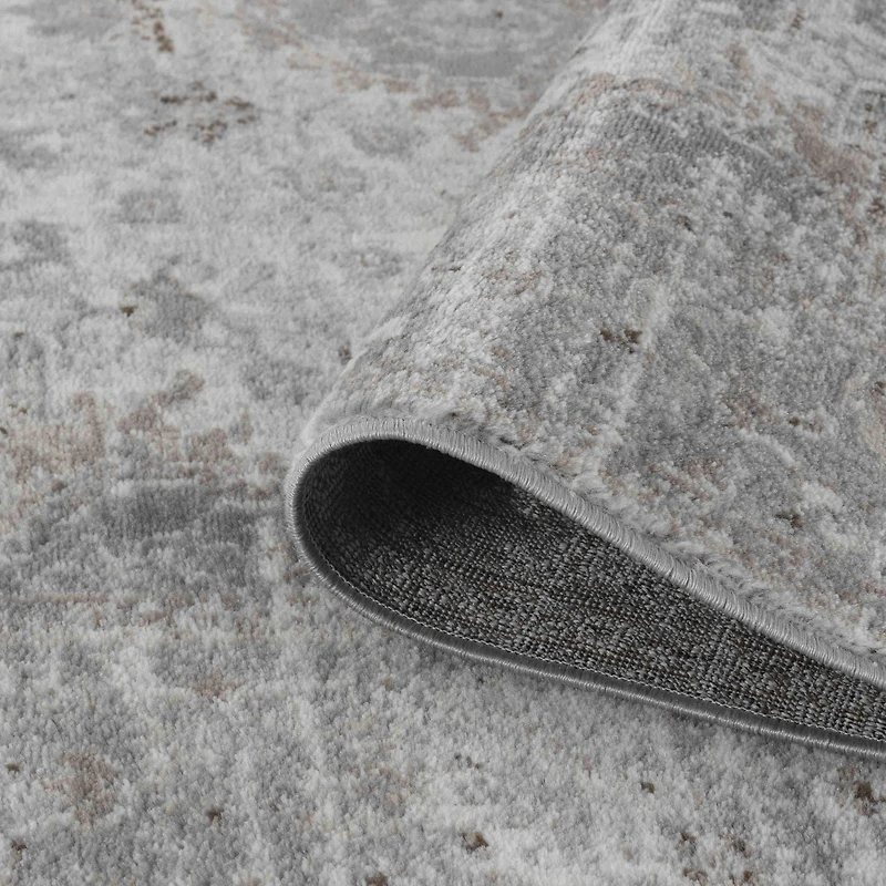 Rug Branch Sakarya Collection Oriental Distressed Indoor Area Rug