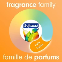 Softsoap Hydrating Liquid Hand Soap Pump, Watermelon & Mint - 332 ML, Hand Soap