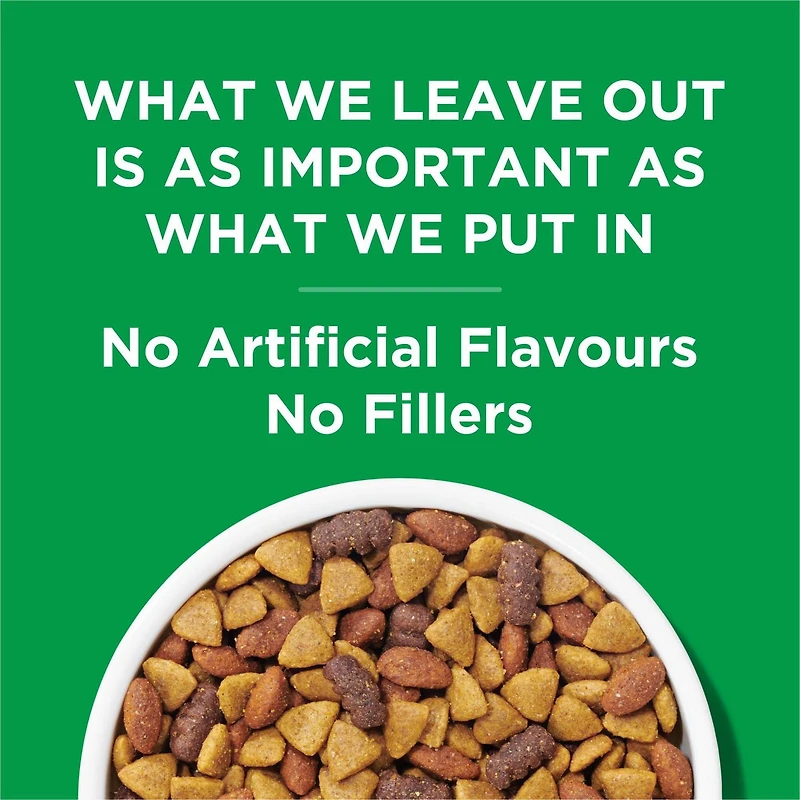 Purina Dog Chow Complète Adulte avec du Vrai Poulet, Nourriture Sèche pour Chiens 2-14kg