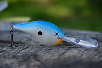 Rapala DT06SMSH Dives-To 06 Crankbait, 2", 3/8oz, Smash, Floating, Dives-To 06 Crankbait