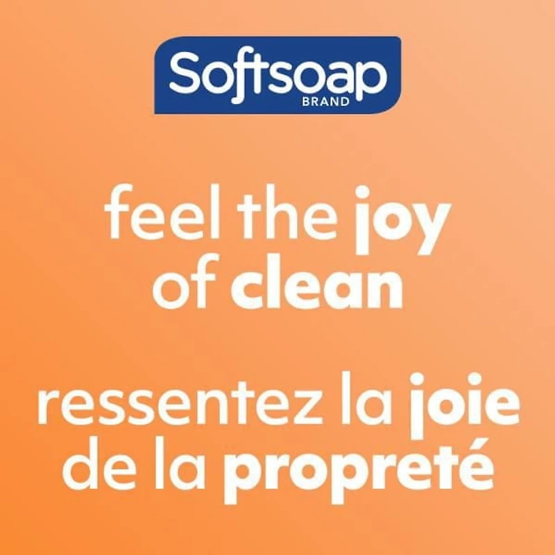 Softsoap Therapy Warming Honey & Brown Sugar Scent Exfoliating Liquid Hand Soap, 384ml.