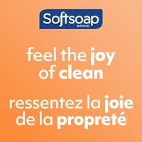 Softsoap Therapy Warming Honey & Brown Sugar Scent Exfoliating Liquid Hand Soap, 384ml.