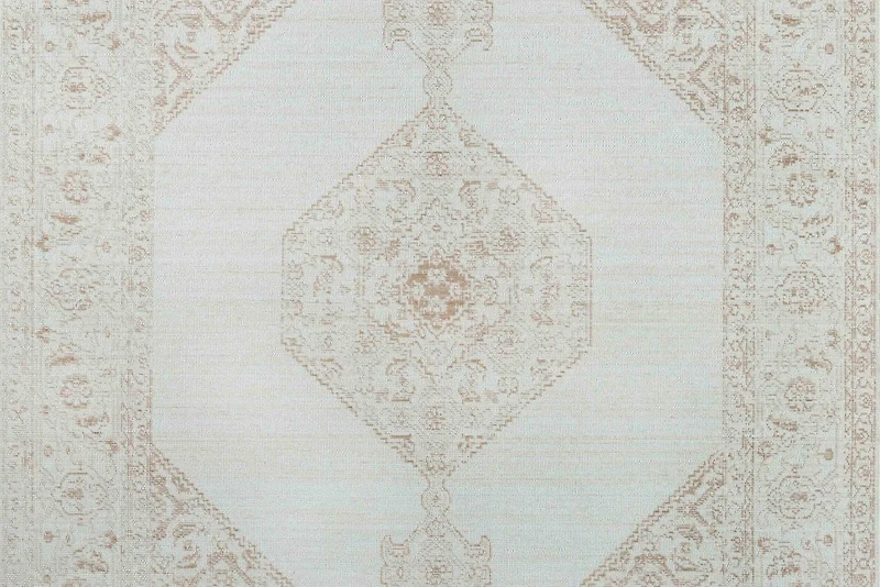 ECARPET Maude Traditional Area Rug for Living Room, Bedroom, Dining Room, Entrance, Hallway and More.