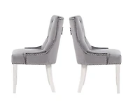 Eudora Chair in Grey, Nailhead trim Dining Chair, Velvet Upholstery Dining Chair, Dining Chair with Stainless Steel legs for Kitchen and Living Room- Set 2