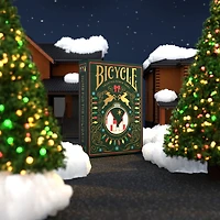 Bicycle Home for the Holidays