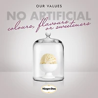 HÄAGEN-DAZS Chocolate Hazelnut Ice Cream Bars – 3 x 88ml, 3 x 88 ML