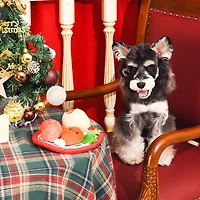 Jouet interactif pour chien Hugsmart Christmas Dinner - Renifle et couine, pour petits et moyens chiens