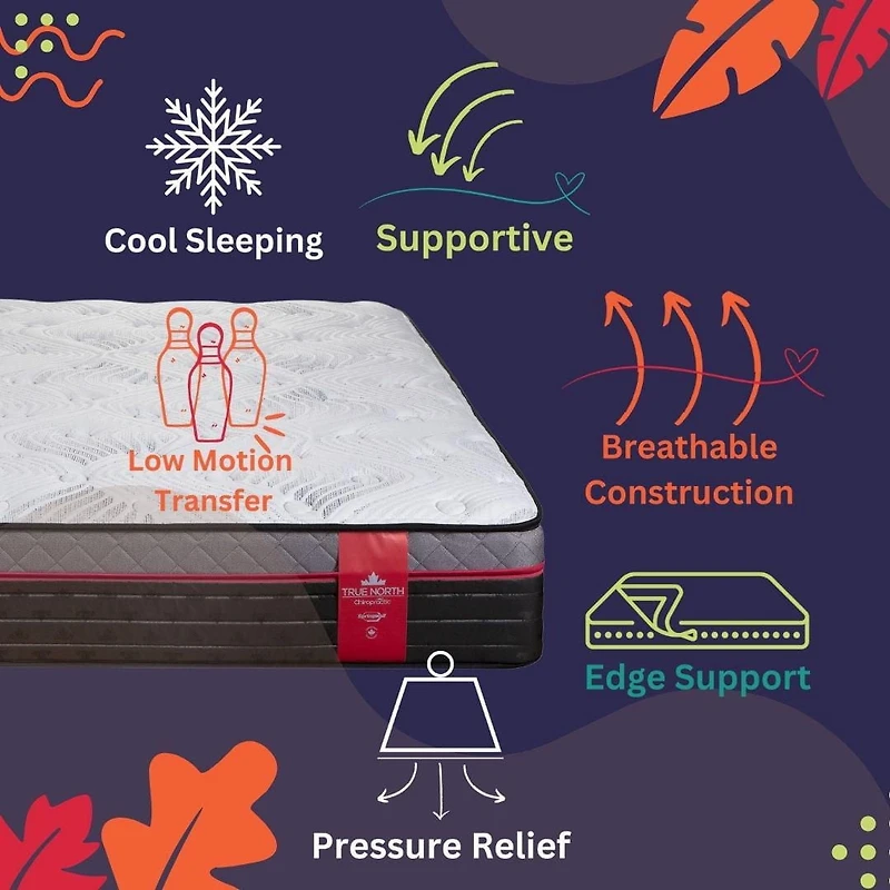 Springwall 13" PLUSH Euro Top Pocket Coil Mattress (MADE FRESH each TIME) Shipped in a box