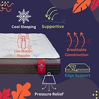 Springwall 13" PLUSH Euro Top Pocket Coil Mattress (MADE FRESH each TIME) Shipped in a box