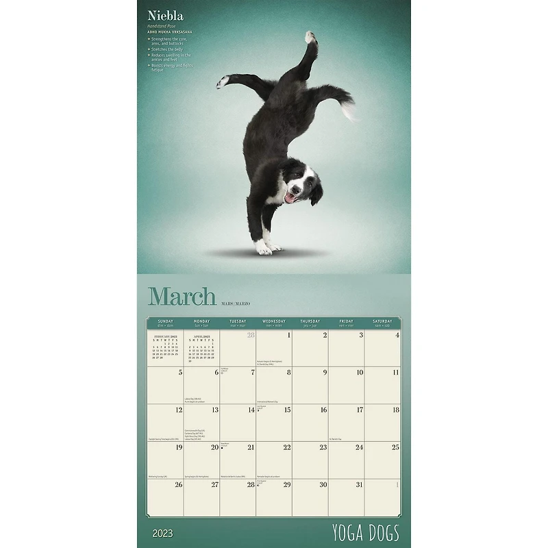 Yoga Dogs OFFICIAL | 2023 12x24 Inch Square Wall Calendar
