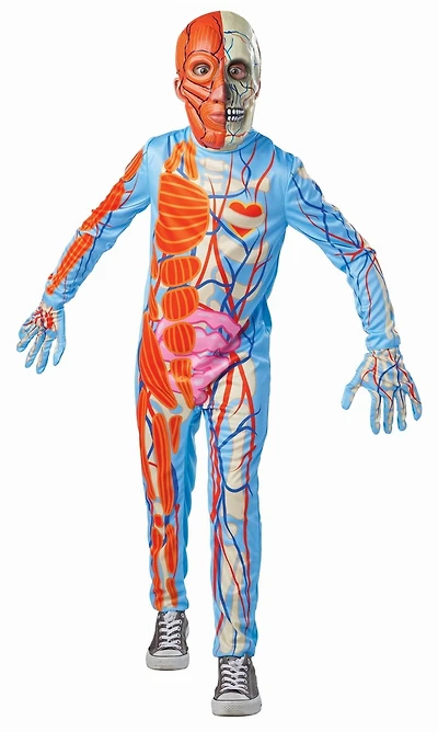 AMAZING ANATOMY