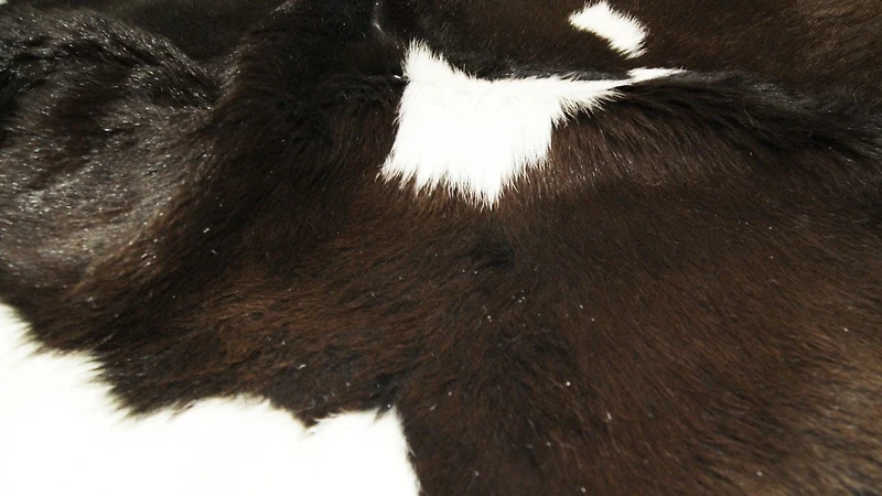 H-Natural Calfskin Rug
