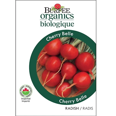 Burpee Cerise Belle Org - Radis