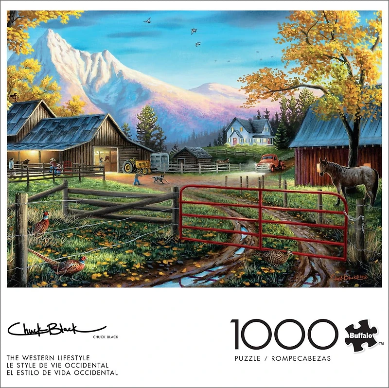1000 COUNTRY ASRT