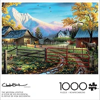 1000 COUNTRY ASRT