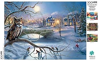 Buffalo Games - Le puzzle Large Pieces - Nighttime Hockey Match - en 300 pièces
