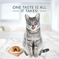 Blue Buffalo Tastefuls Chicken Entrée Pate Natural Adult Cat Wet Food, 156g