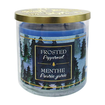 13.5oz - FROSTED PEPPERMINT Fragranced Candle with Metal Lid