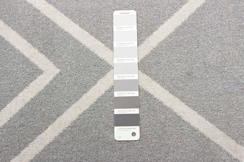 Tapis Lavable ECARPET Géométrique pour Chambre, Salon, Chambre d'Enfant