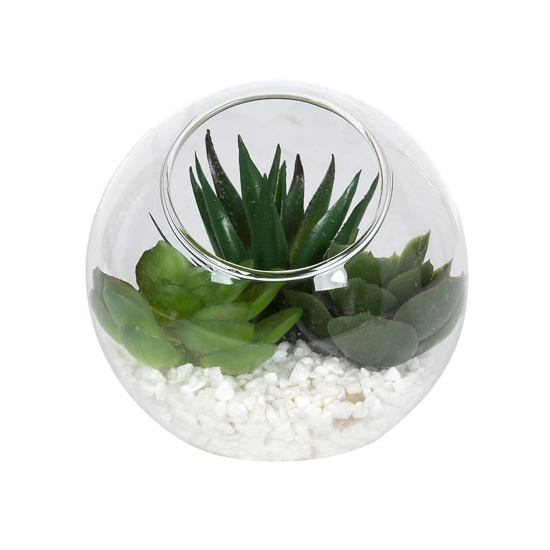 DesignOvation 3.75"H Angled Glass Globe Succulent Terrarium, 3.81in W x 3.75in H x 3.81 in D