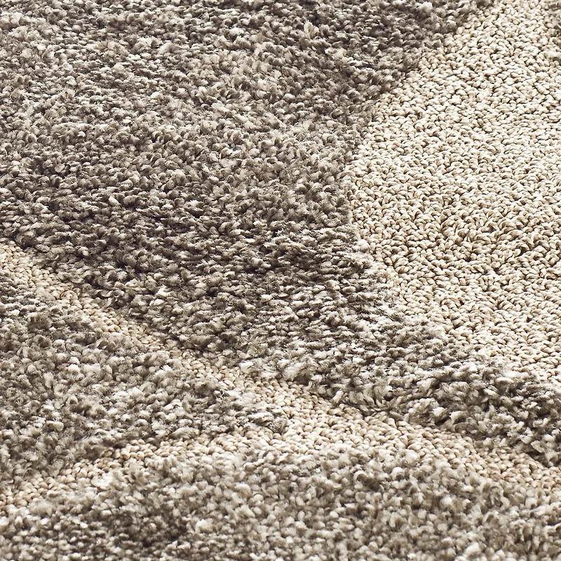 SAFAVIEH Florida Teodor Tapis Florales Shag