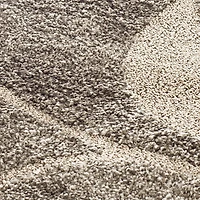 SAFAVIEH Florida Teodor Tapis Florales Shag