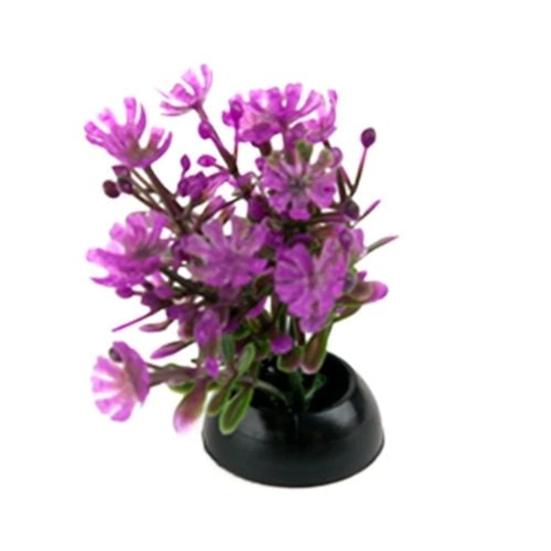 Penn Plax Aqua-Plantes D'Aquarium Décorations