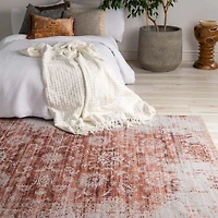 Rug Branch Emir Collection Traditional Oriental Distressed Water-Repellent Area