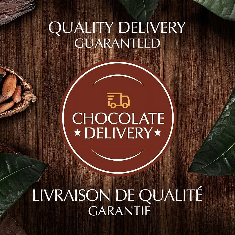 Chocolat noir LINDOR à 70 % de cacao de Lindt – Barre (100 g) Tablette/Barre 100g