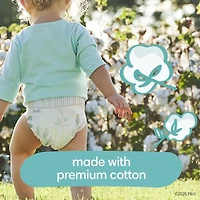 Pampers Pure Protection Diapers, Super Econo Pack, Sizes N-6, 116-62 Count