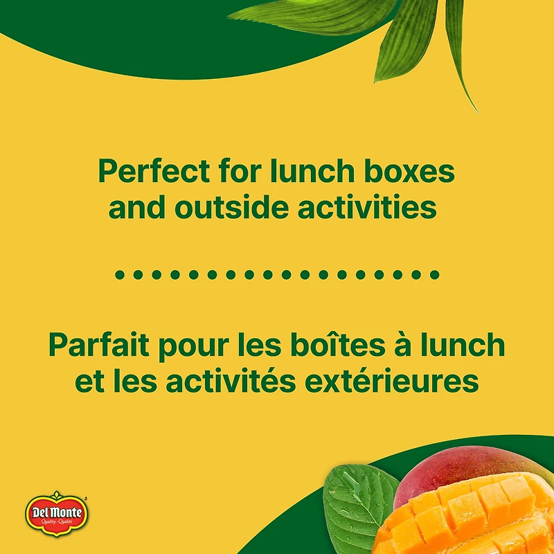 Boîtes à boire Nectar de mangue Del Monte