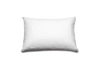 Total Defense Cotton Pillow Protector Queen