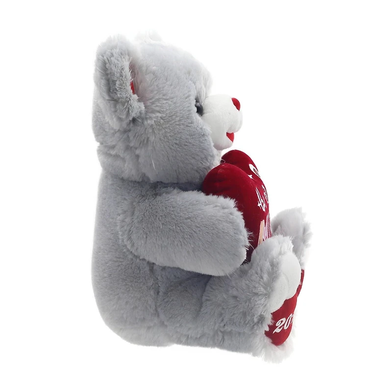 Way To Celebrate Valentine Sweetheart Teddy, Grey