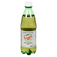Soda gingembre diète Canada Dry Bouteille de 500