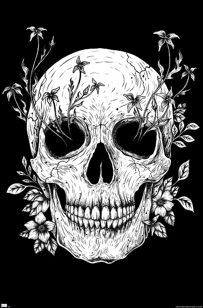 Episodic Drawing - Floral Skull Wall Poster, 22.375" x 34"
