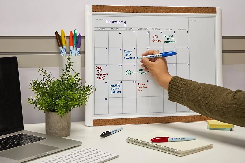 EXPO Vis à Vis Wet Erase Markers, 4-Pack