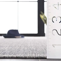 SAFAVIEH Beach House Joakim Bordered Indoor/Outdoor Area Rug