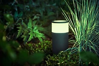 Philips Hue Blanc et couleur Ambiance Calla Outdoor Pathway Light